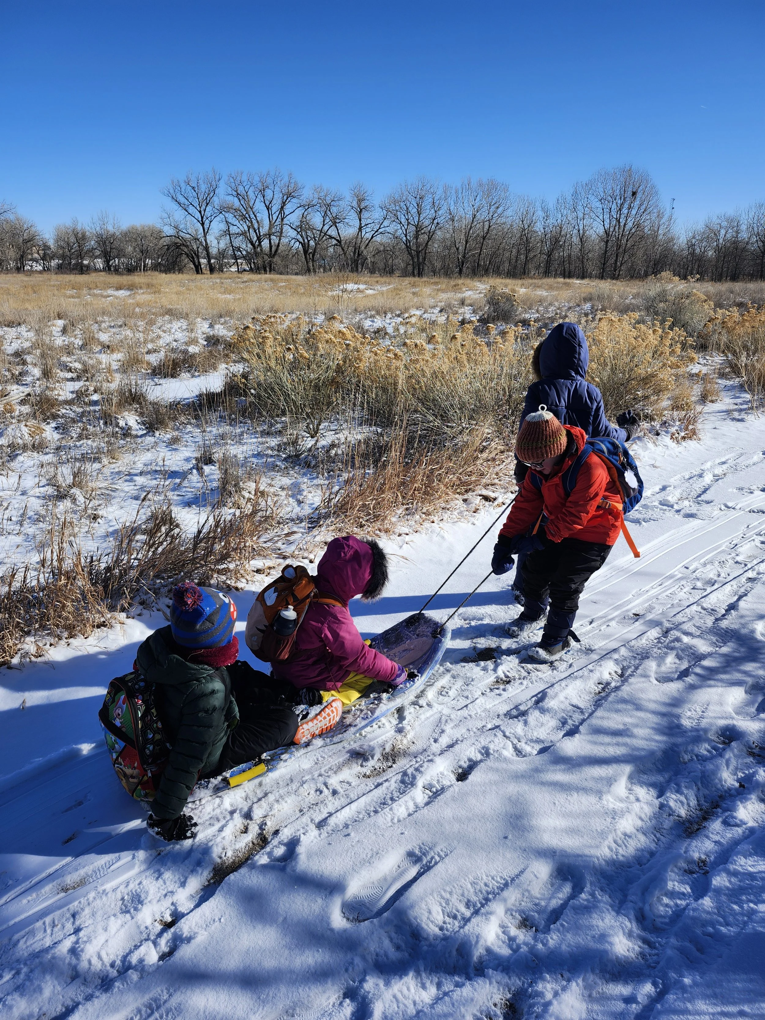 20260126_100732 (1).jpg