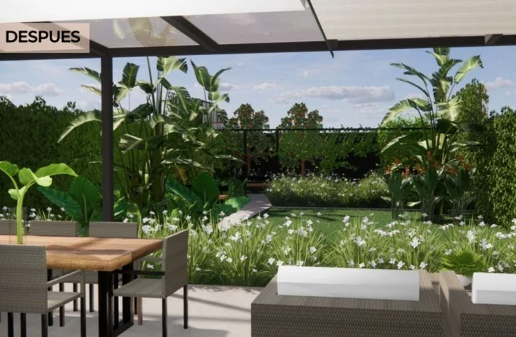 Vista del modelo del proyecto