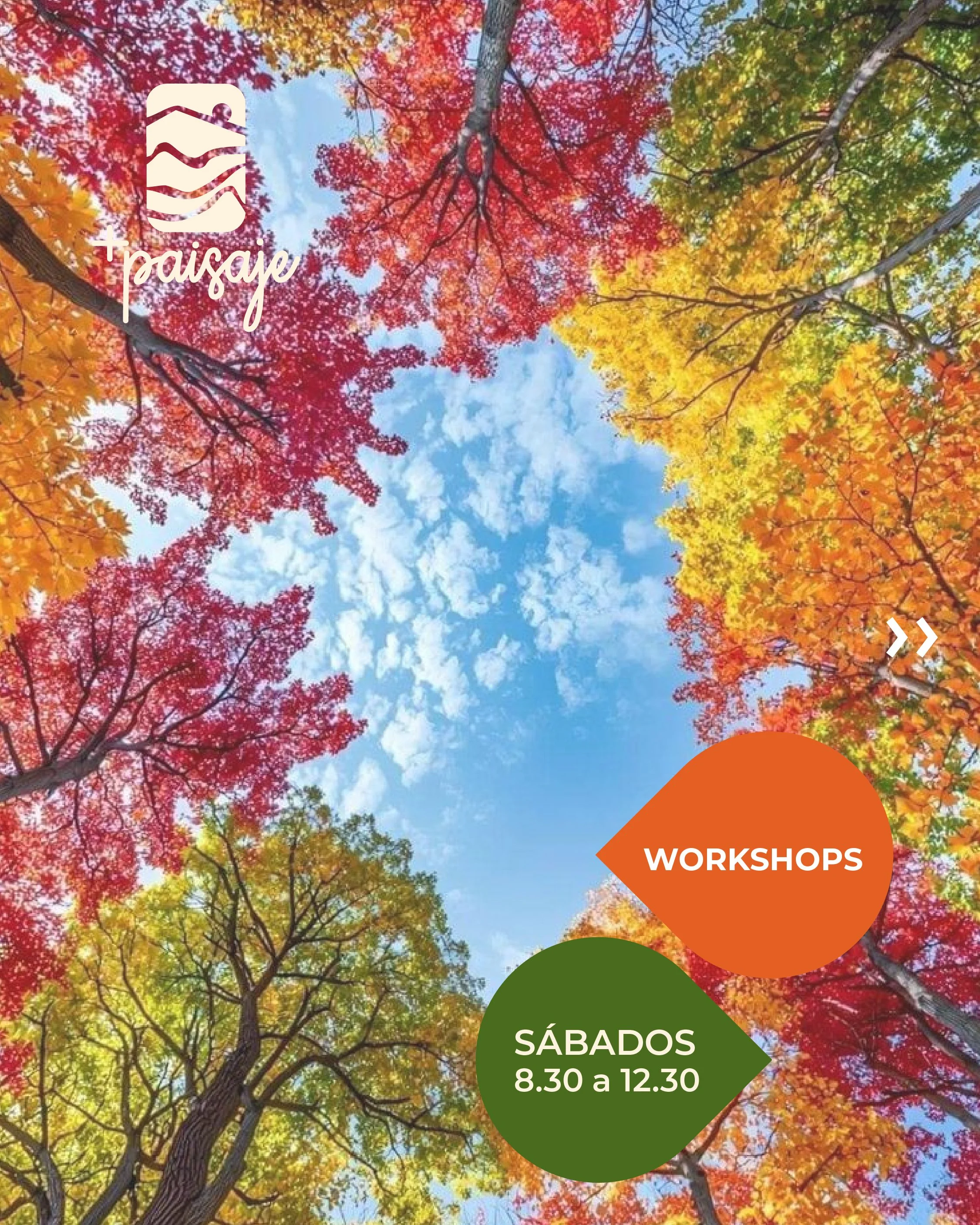 + paisaje workshop1080x1350-26-02.jpg