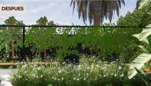 Vista del modelo del proyecto