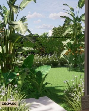 Vista del modelo del proyecto