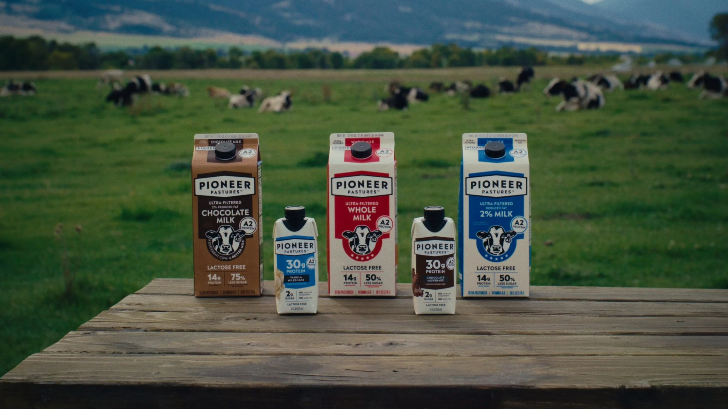 PIONEER_PASTURES_2.53.1.jpg