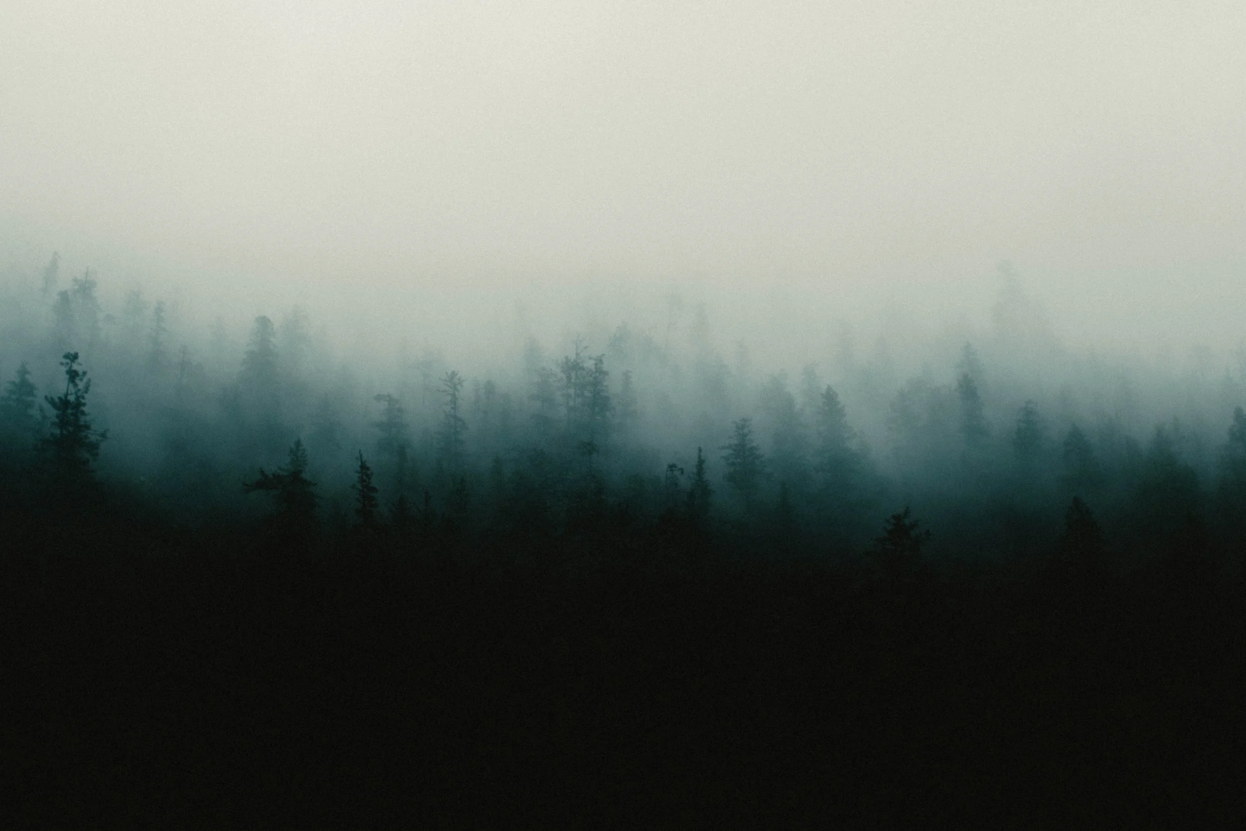 A6504900.jpg