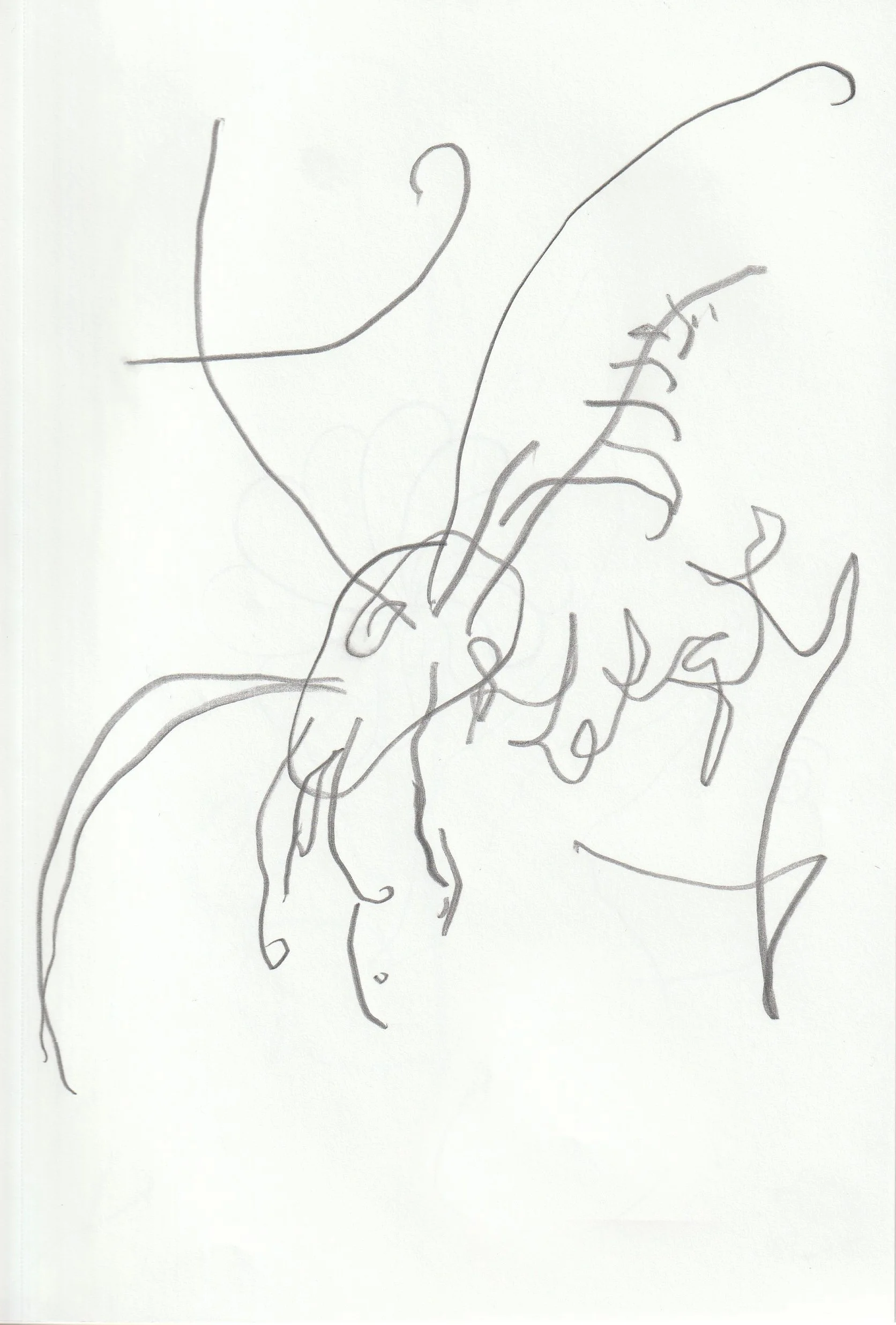 IMG_20260119_0001 copy 2.jpg