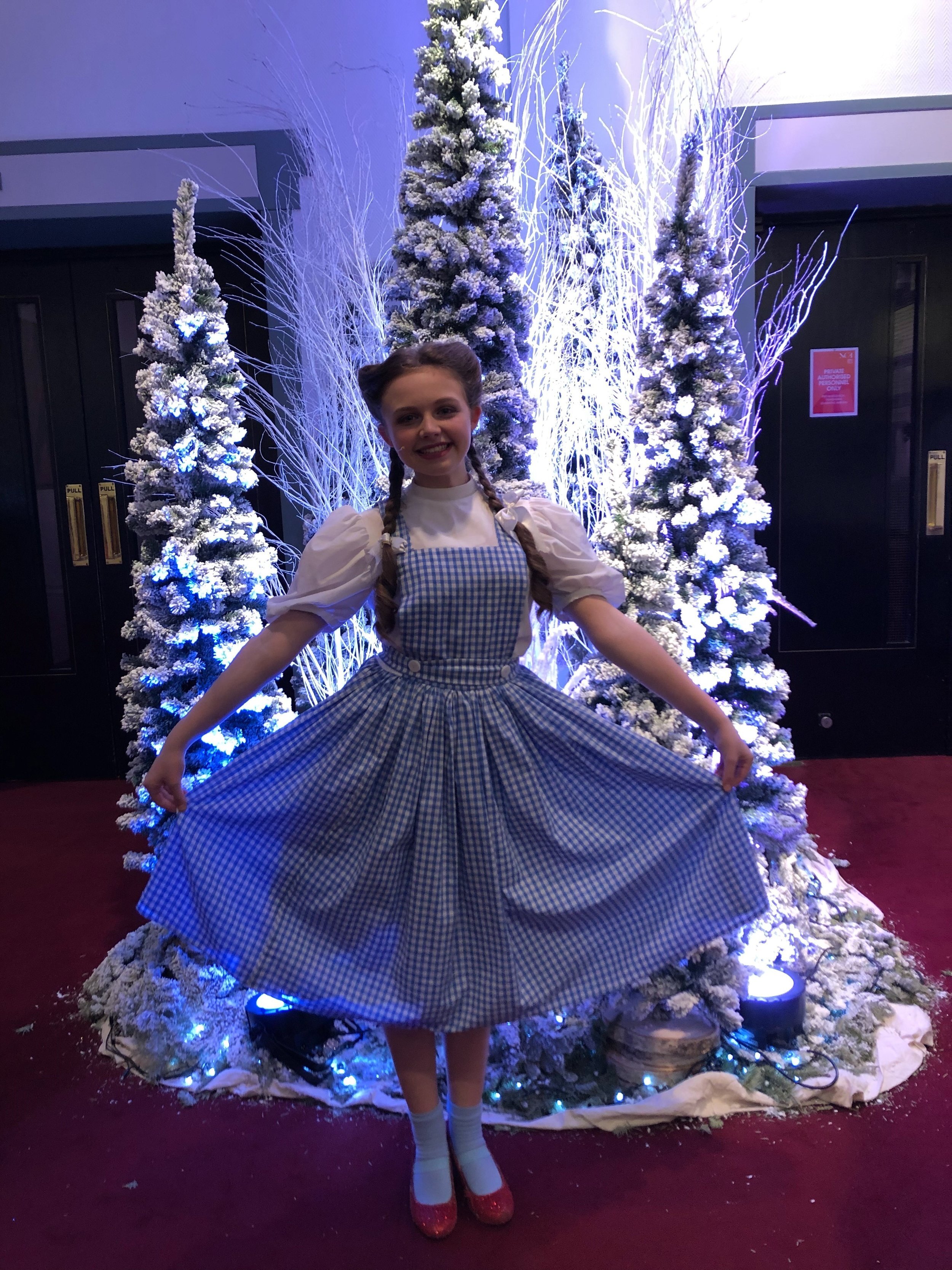 The Wizard of Oz in Dublin
