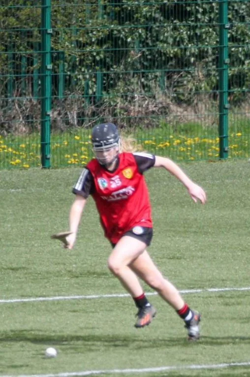 Camogie success