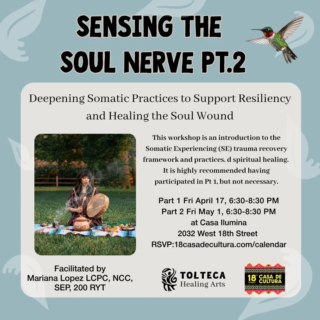 Sensing The Soul Nerve Pt. 2