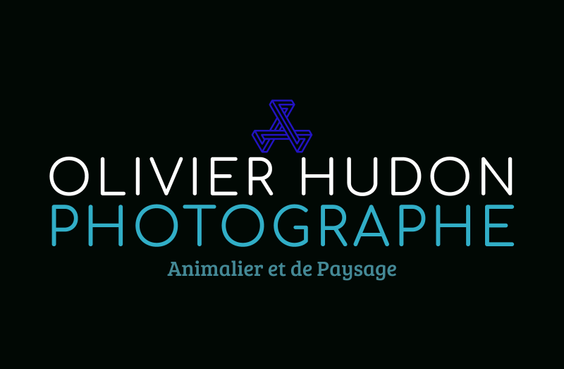 Olivier Hudon Photographe