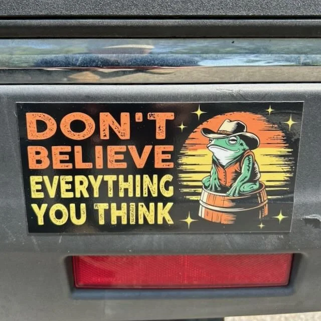 Don’t believe everything you think