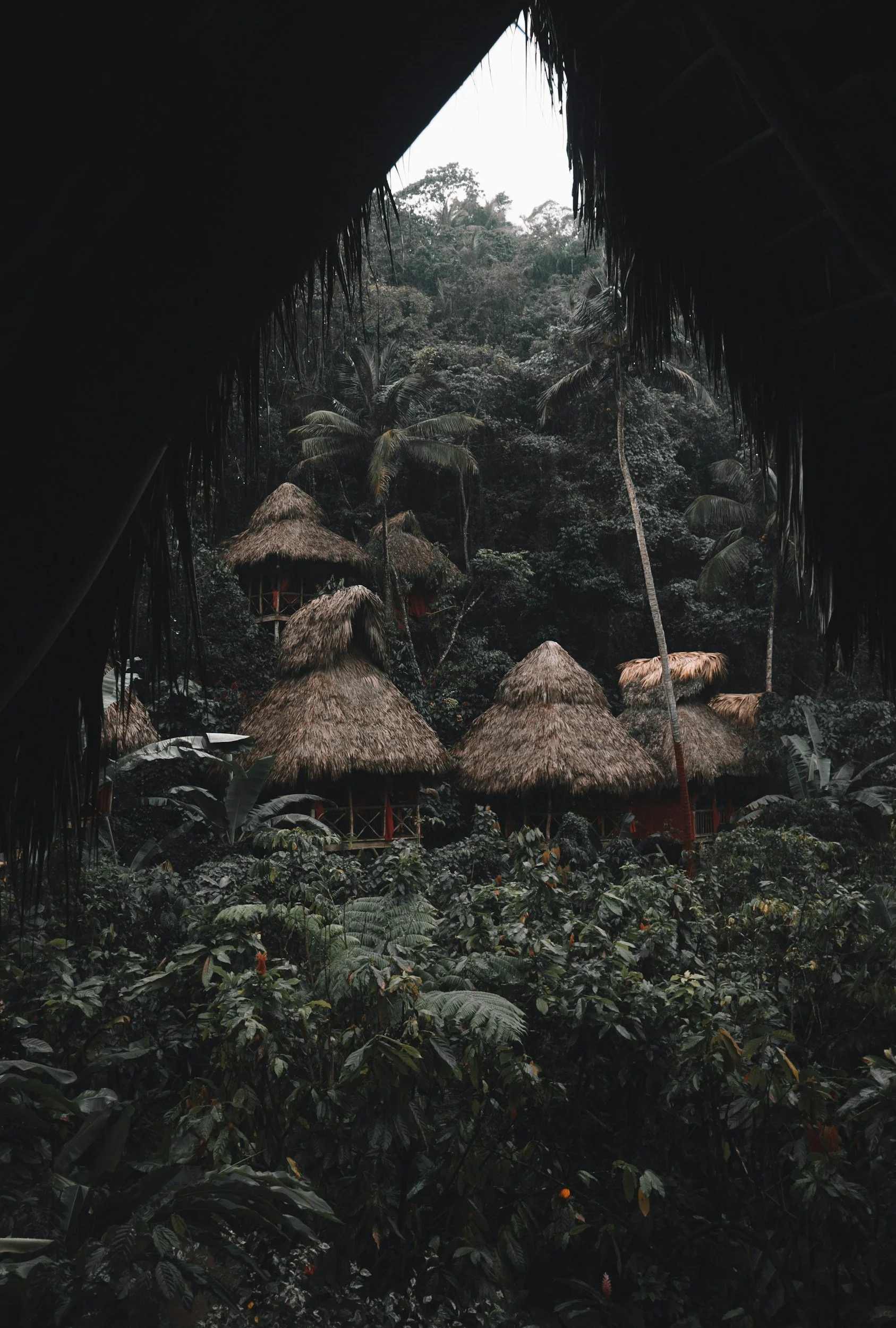 View of a lush jungle landscape with several thatched-roof huts, surrounded by dense green vegetation and tall trees.