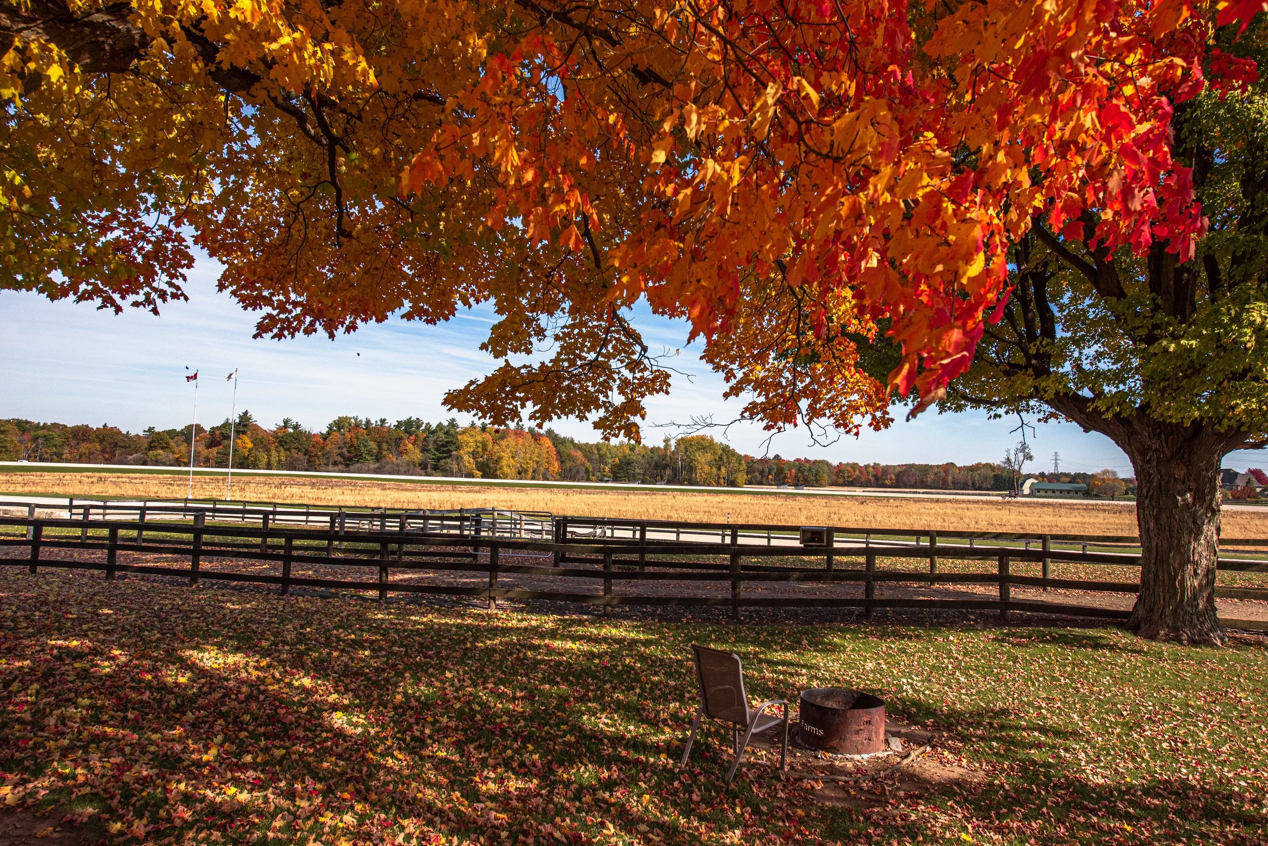 Agritourism: Growing New Opportunities on the Farm