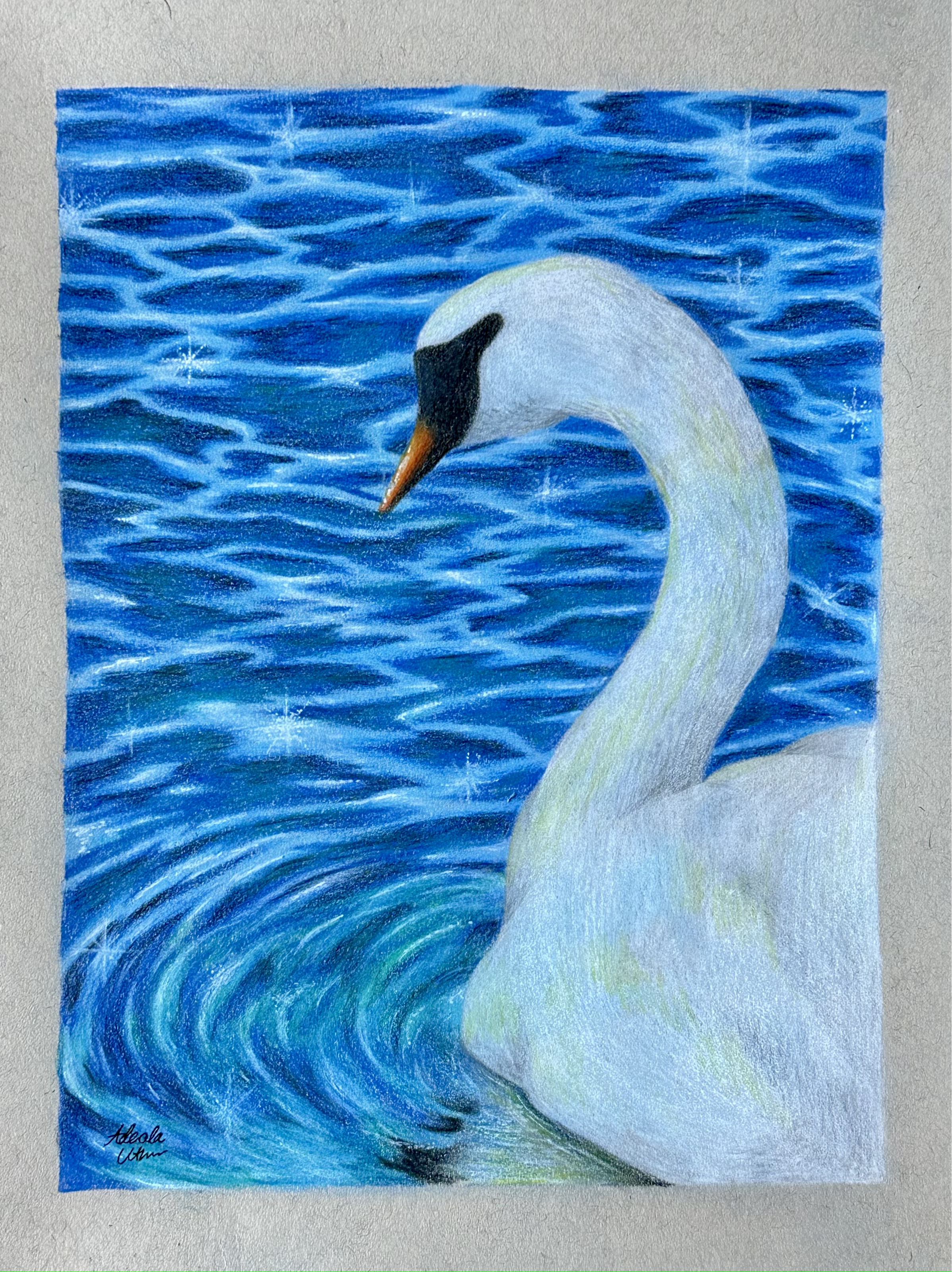 Swan Drawing Edited.png