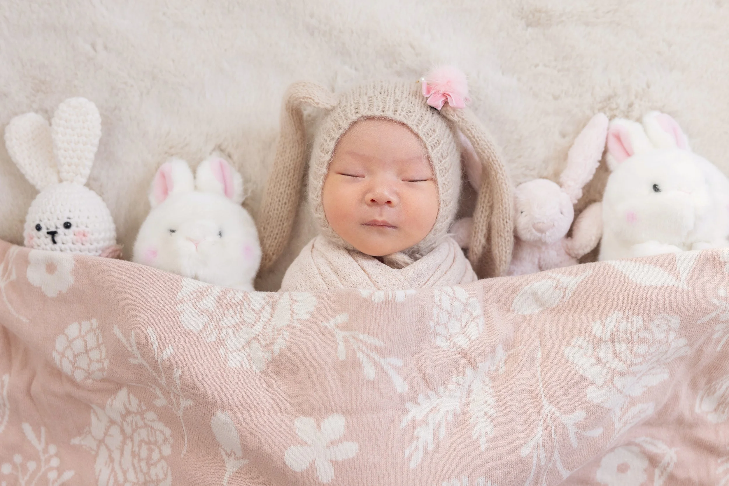 Newborn-Bunny-Baby.jpg
