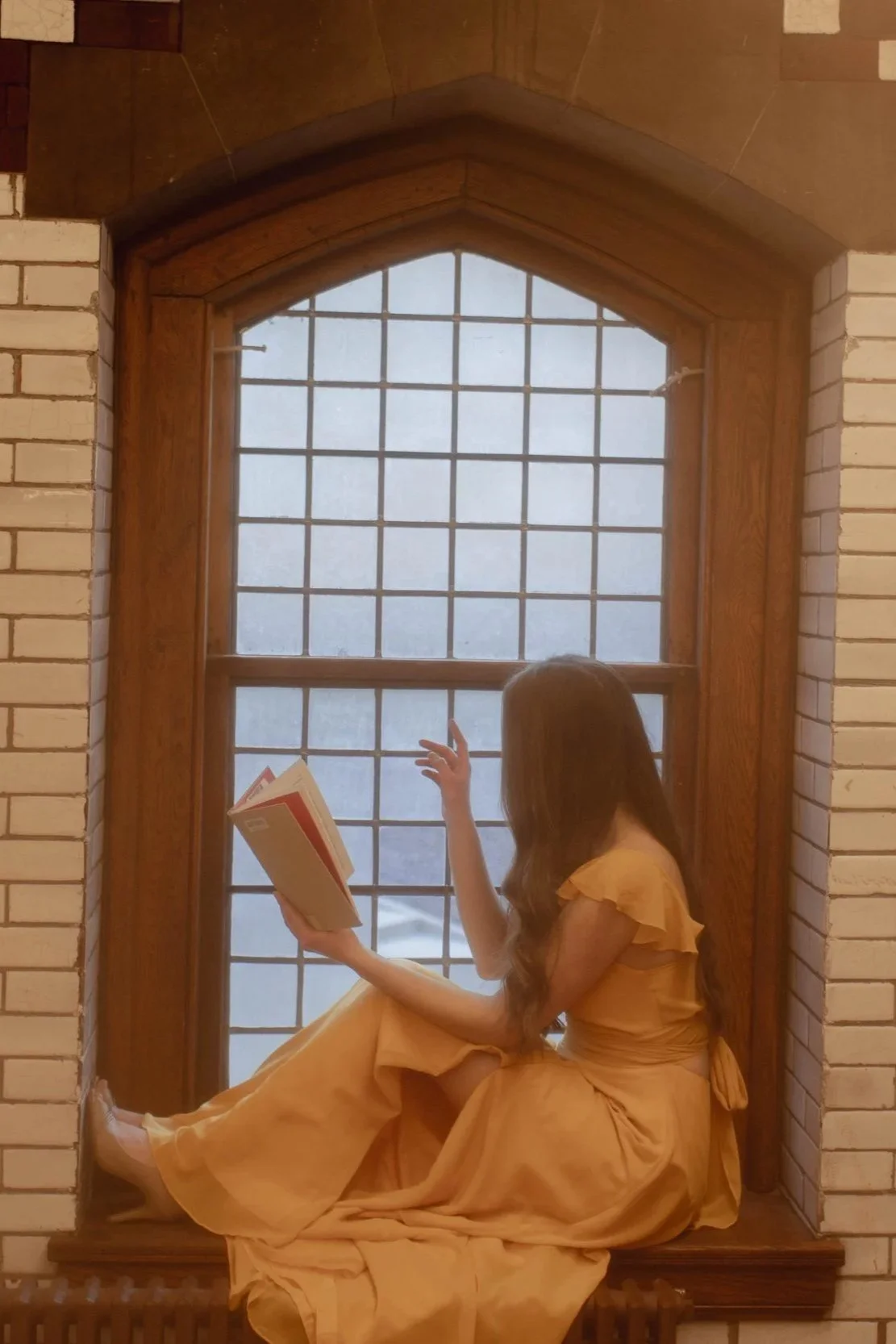 Reader dressed as Disney princess Belle and reading a book while staring out a foggy window