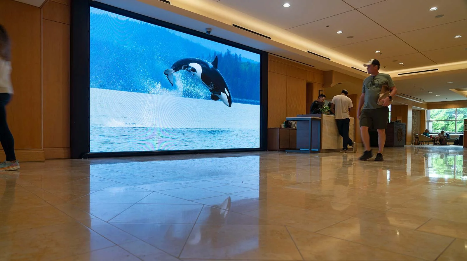 WestinBayshore_LEDwall_2023_BZC2429.jpg