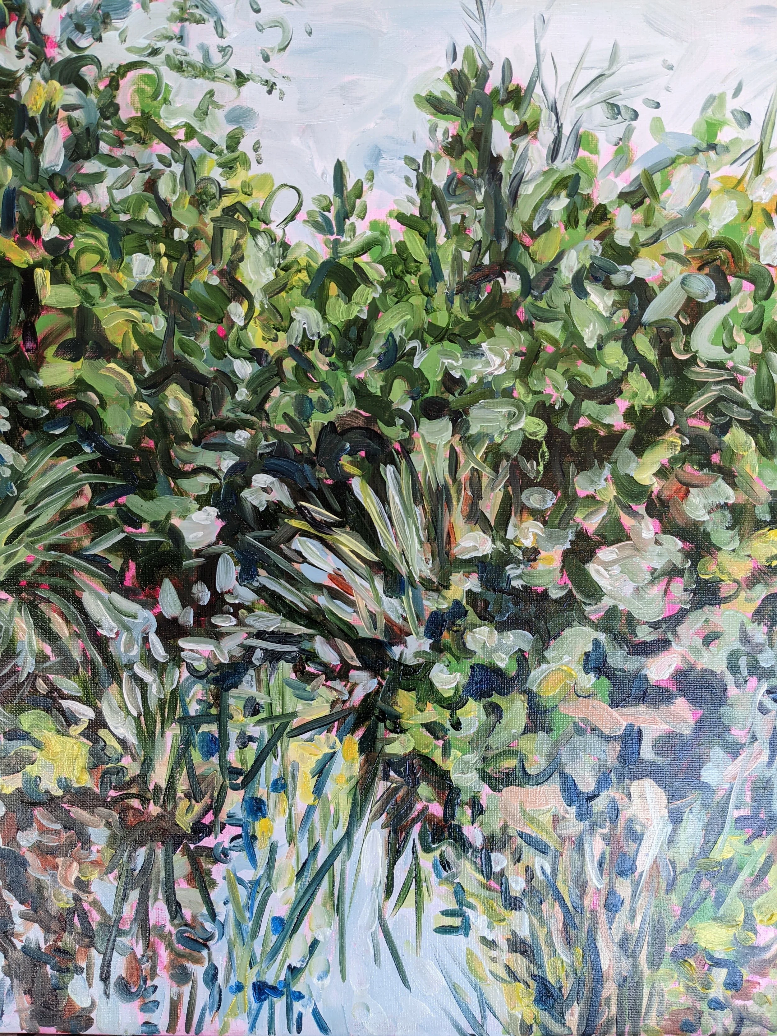  Pondside Stanley Park  oil on canvas, 16×20