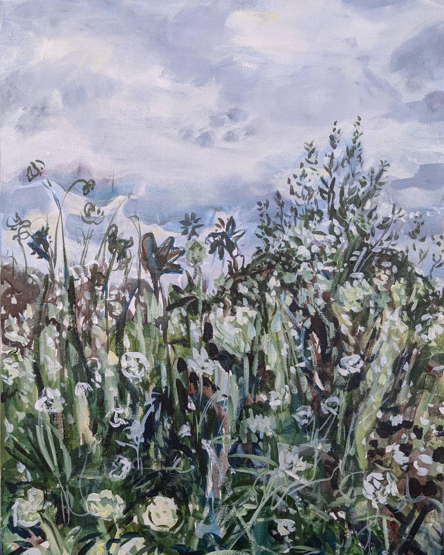  	Avondale, Queen Anne's Lace	 	 	acrylic on canvas,	18×24