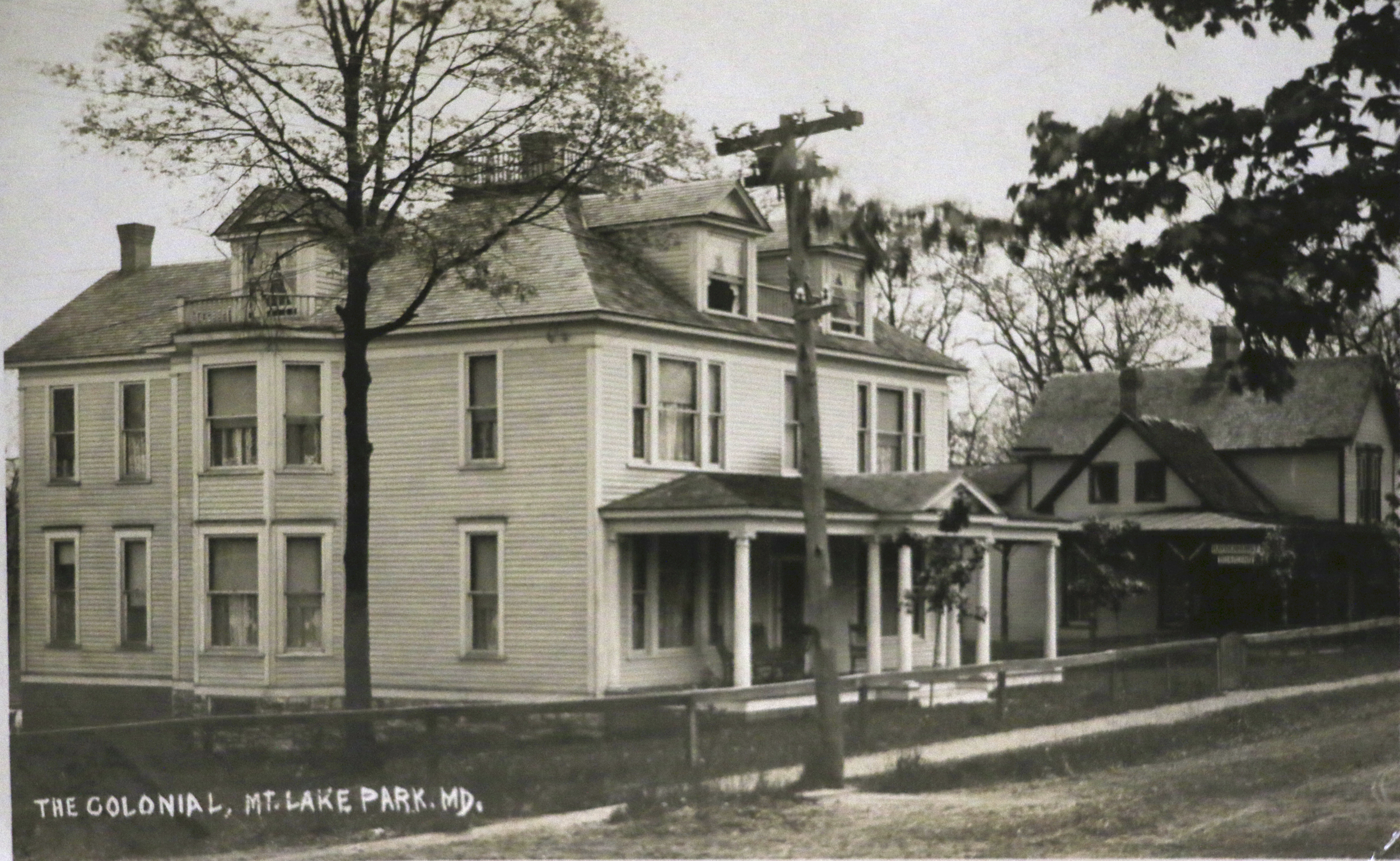 The Colonial