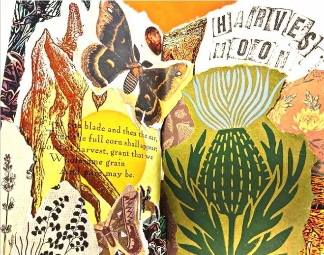 collage workshop-lauren.webp