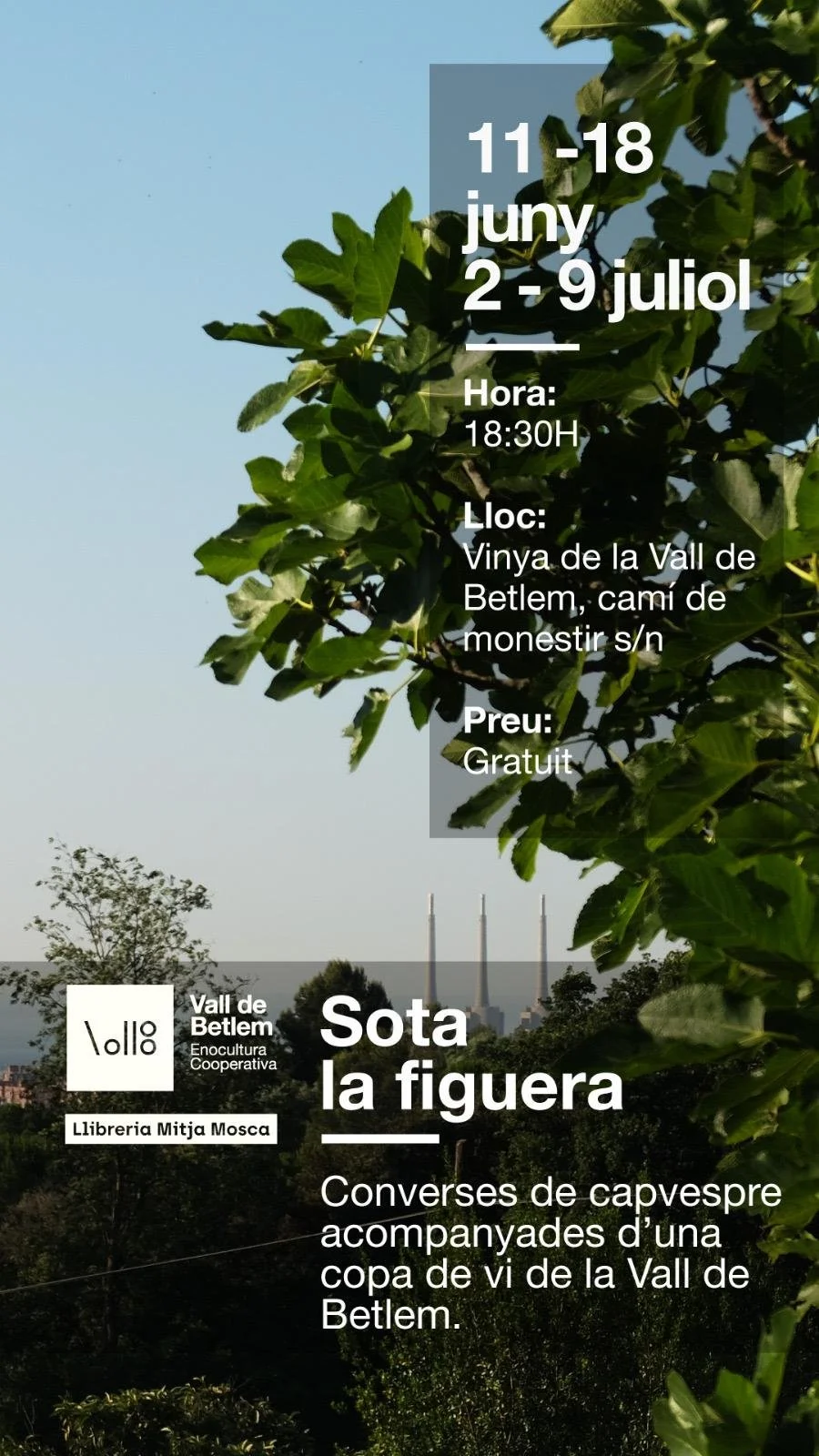 Converses i vi