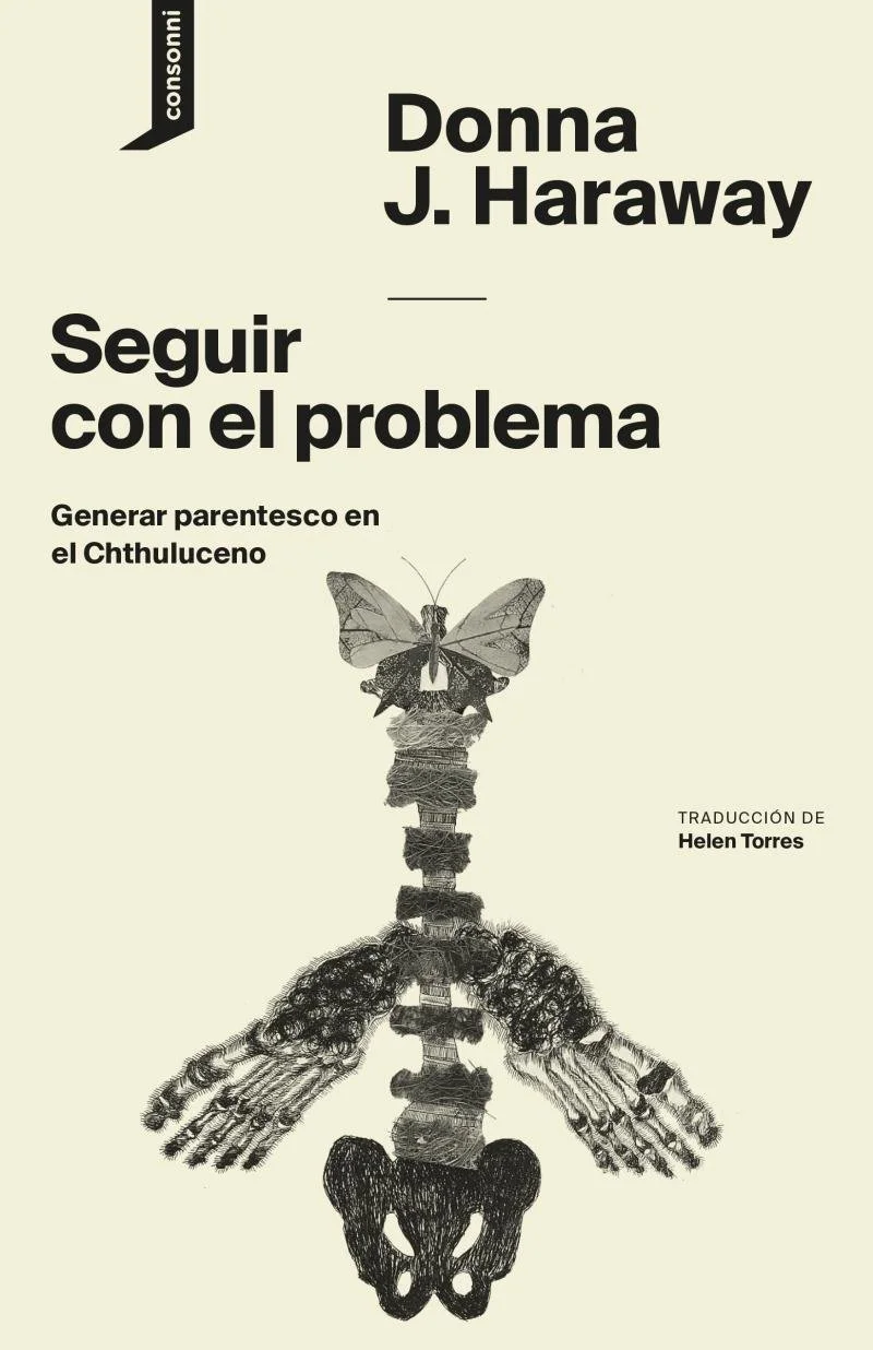 seguir problema.jpg