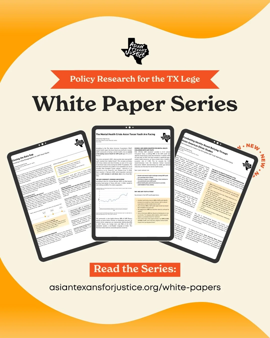 Strong policy starts with strong research.

Our new white paper series examines how identity, belonging, and care shape the experiences of Asian Texan youth&mdash;highlighting urgent challenges like mental health and identity-based bullying.

Written