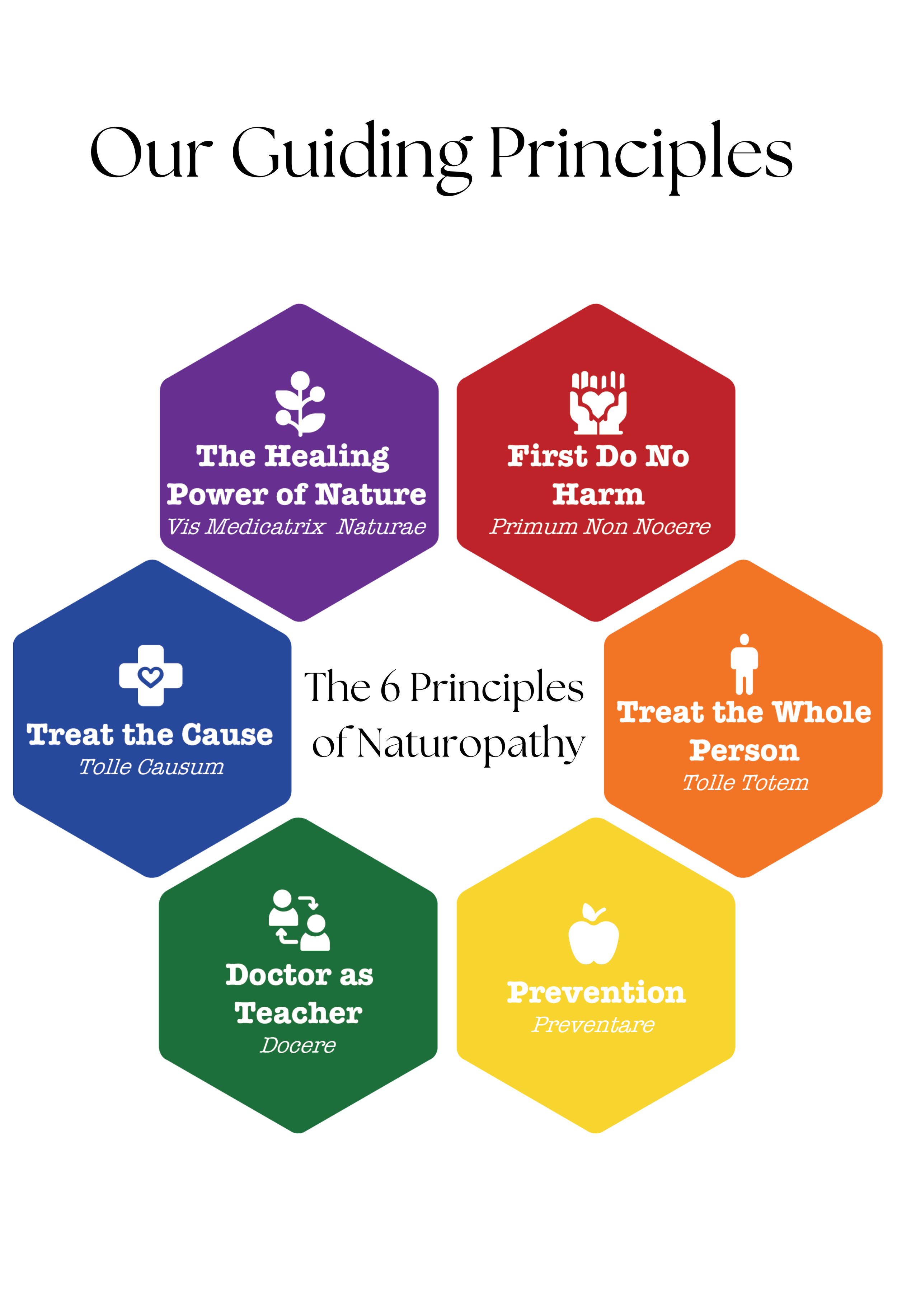 Our Guiding Principles