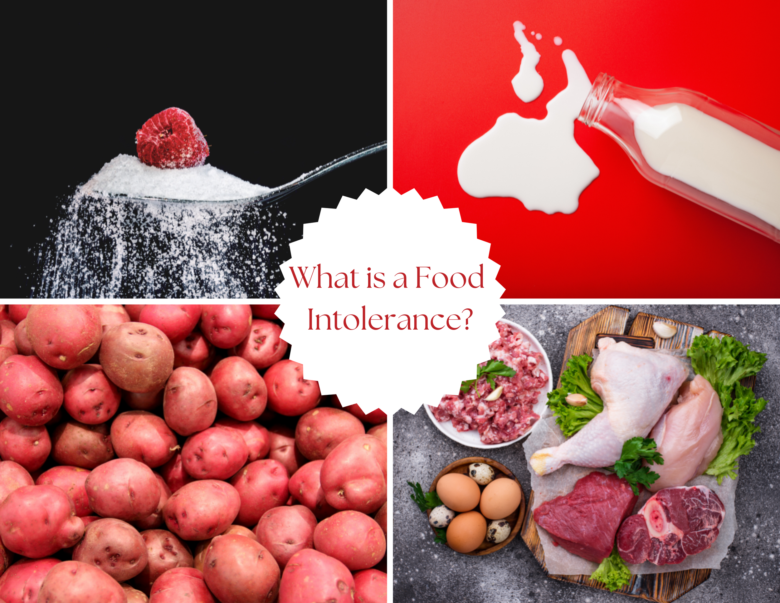Food Allergy, Intolerance, & Sensitivity — Matrix Wellness