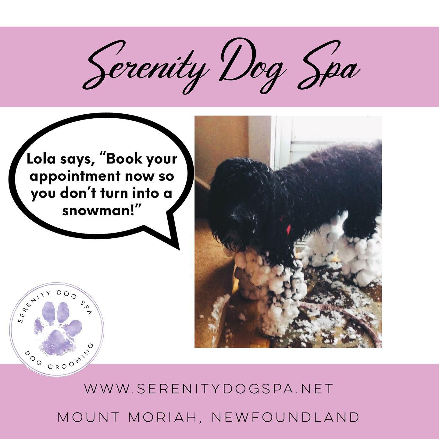 Lola says, &ldquo;Book your appointment now so you don&rsquo;t turn into a snowman!&rdquo; We still have some appointments available in November and December 

Serenity Dog Spa is located 2 houses down from C&amp;E takeout in Mount Moriah. (The Red H