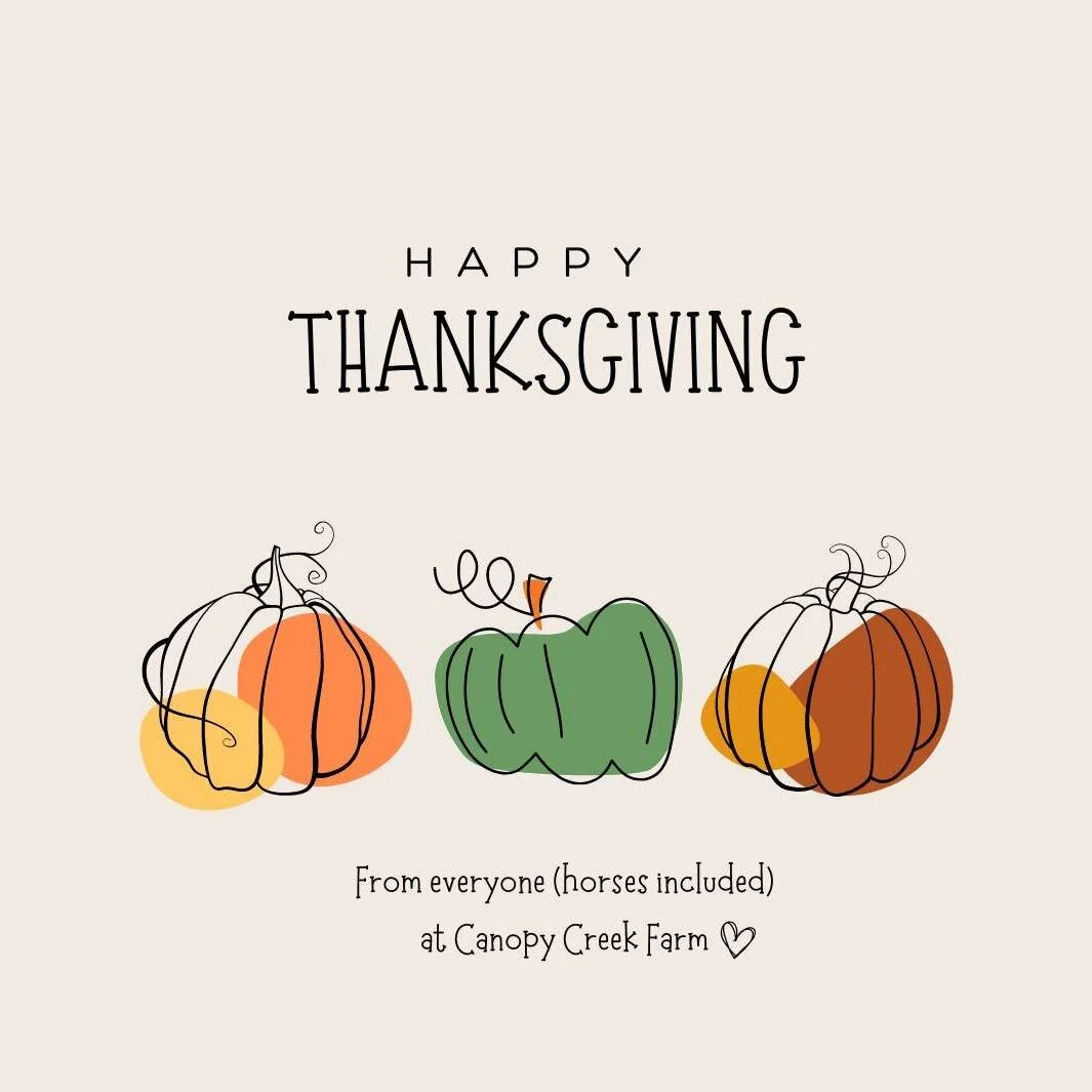Thanksgiving is a joyous invitation to shower the world with love and gratitude.🧡

The entire Canopy Creek Farm Team (horses included) wish you and your family a very Happy Thanksgiving!