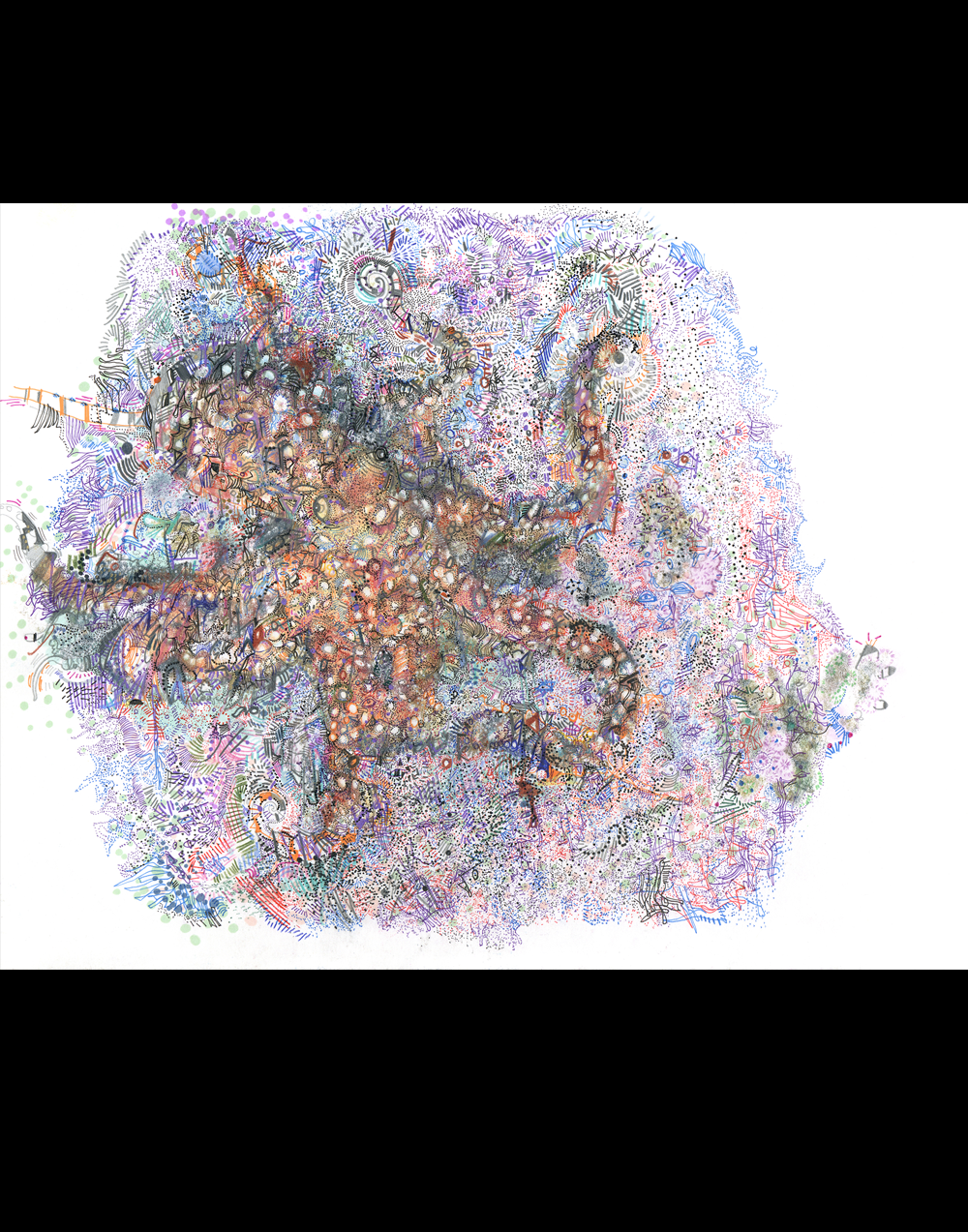 nine+brainss.webp