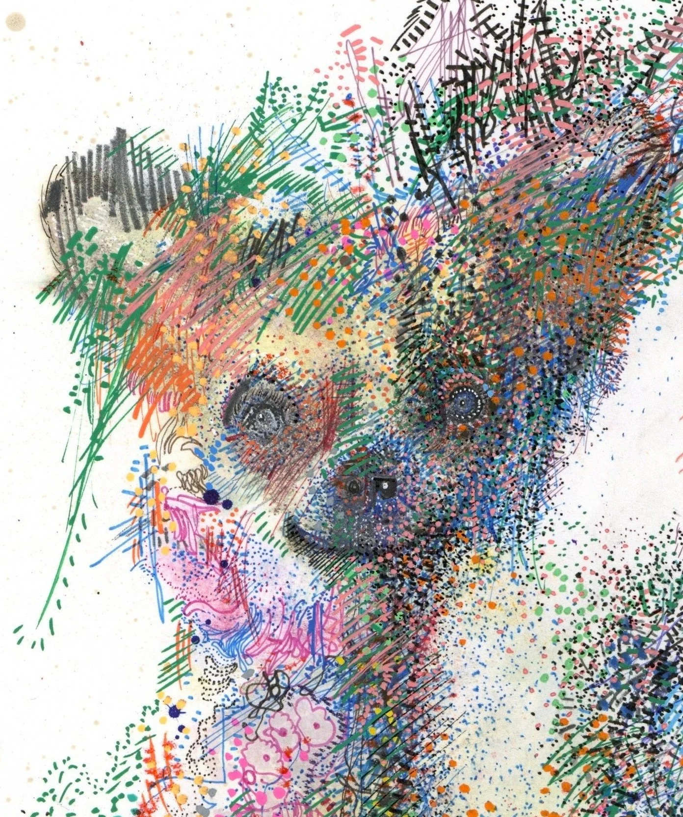 img20260215_19352848 copy.jpg