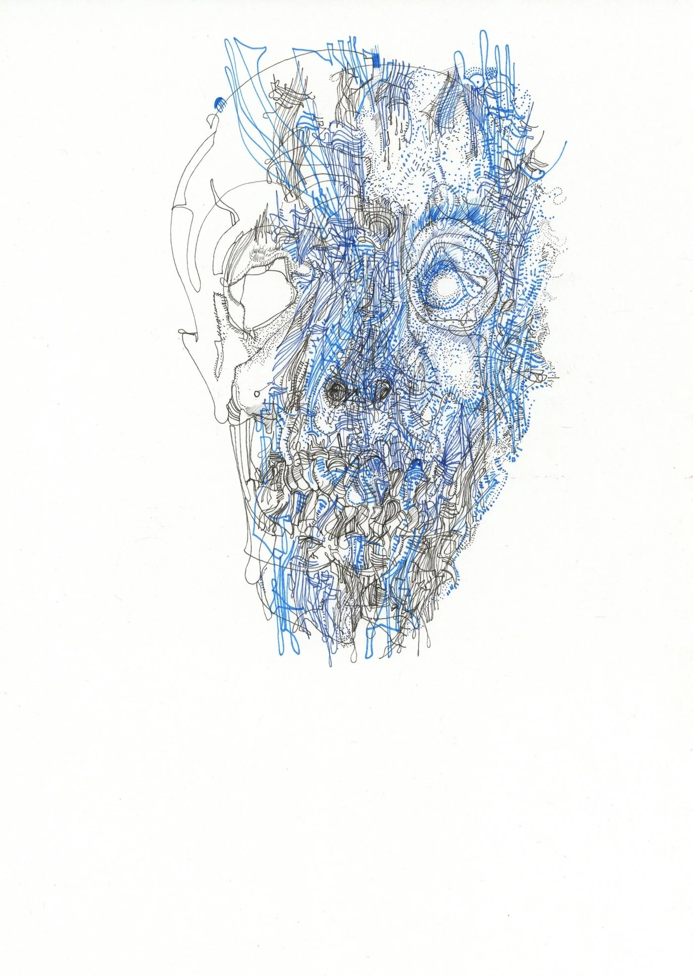 Skullface 9.5x13 24.jpg