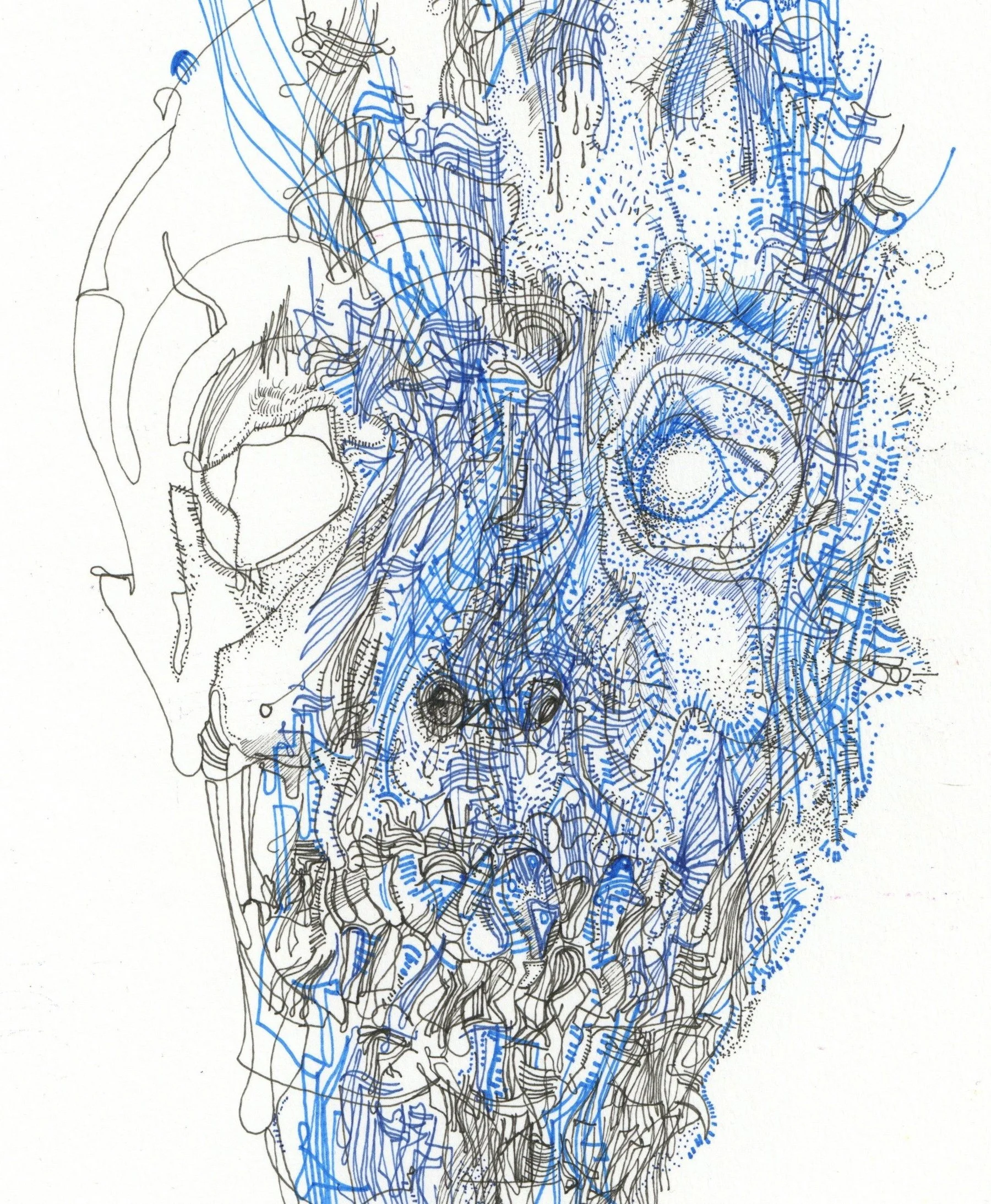 Skullface 2400 copy.jpg