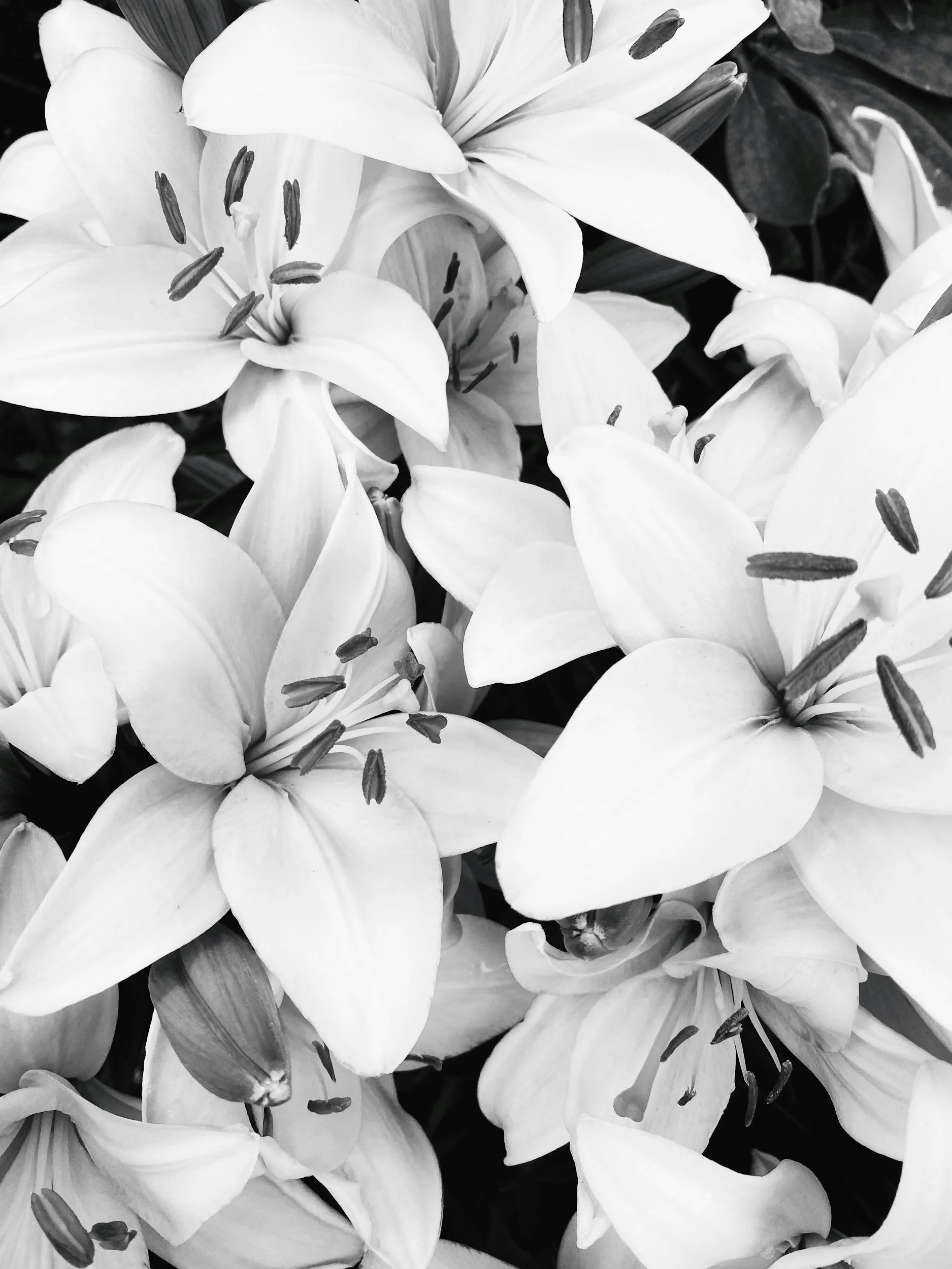 unsplash-image-hnxXCmUMgxs.jpg