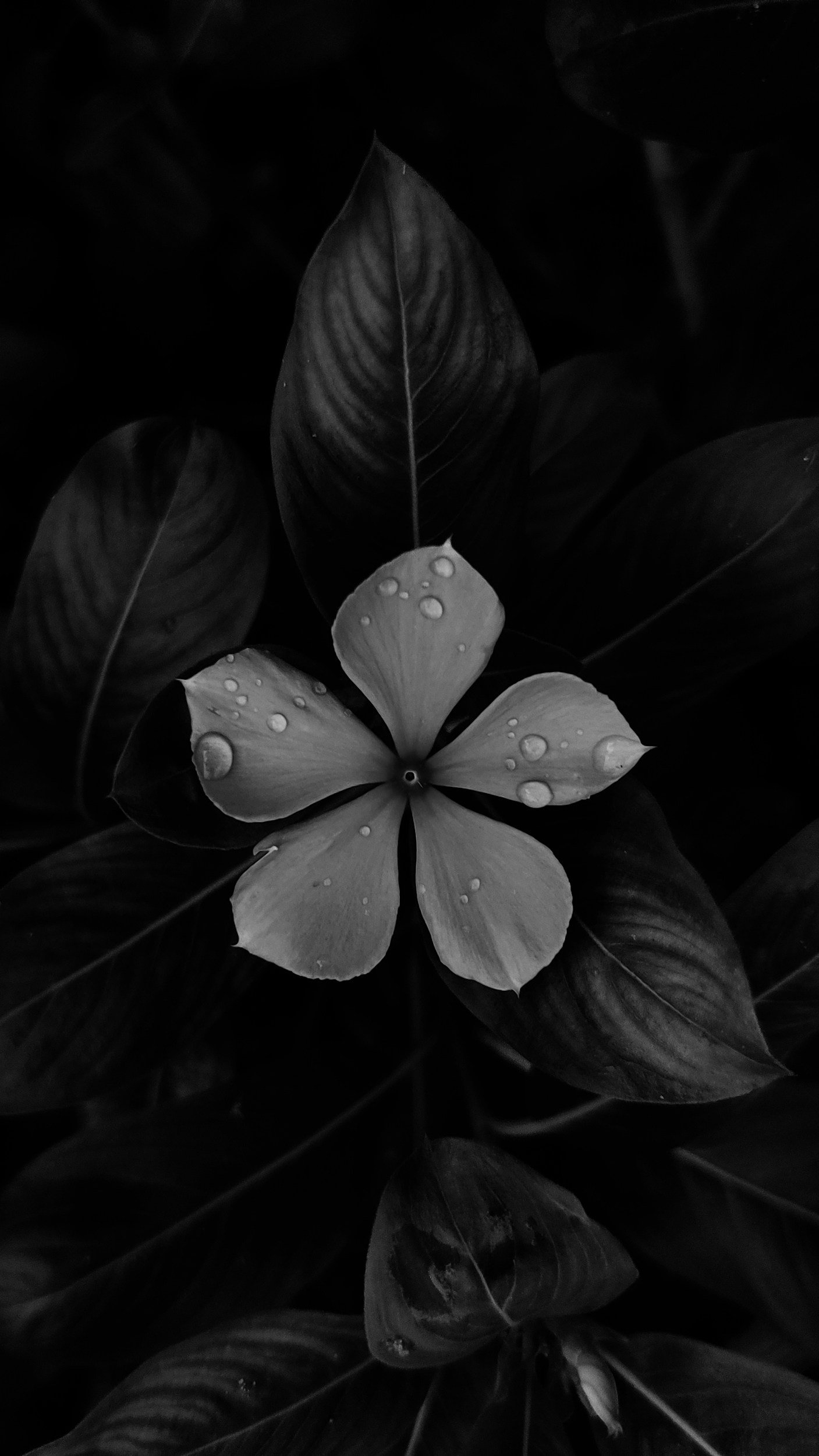 unsplash-image-ttAxbqKiDjI.jpg
