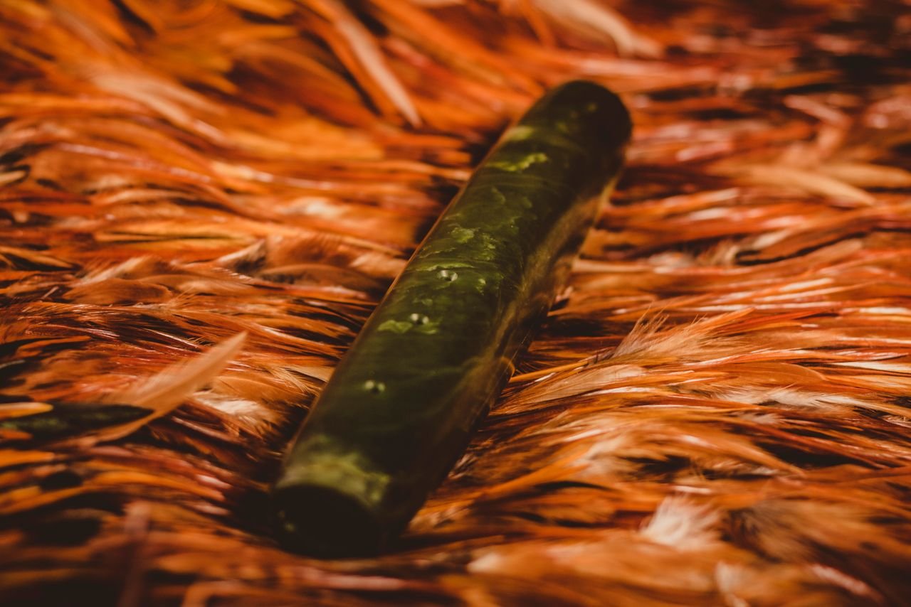 PorutuPounamu.jpeg
