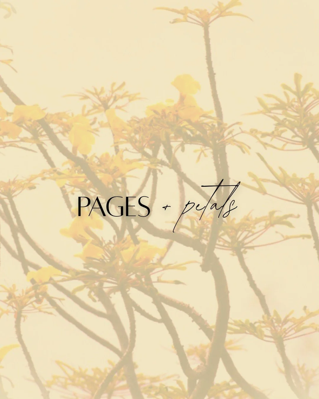 Pages + Petals | Meditation Eye Pillows