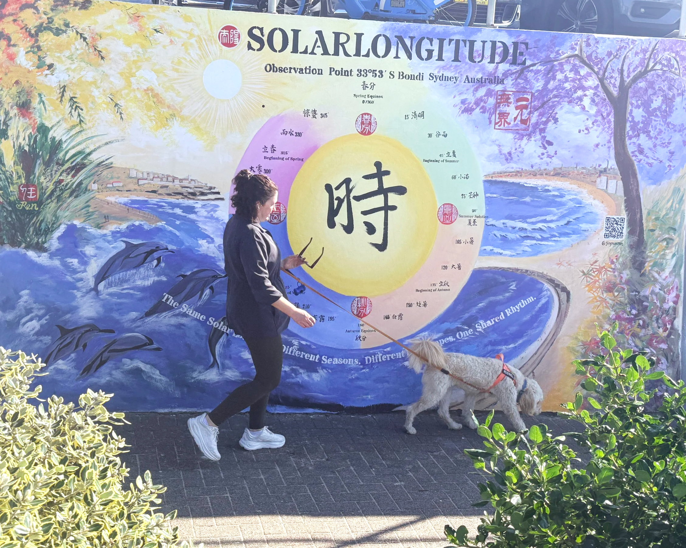 A local pedestrian and dog passing Solar Longitude – Time Orbit at Bondi Sea Wall, showing the artwork within everyday public life.