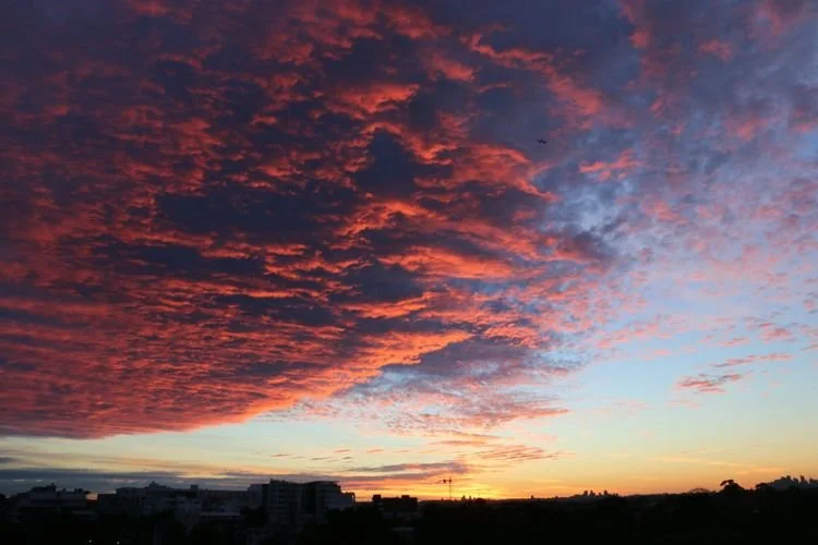 Red clouds across the Sydney sky at sunrise, photographed by Jingmin Ren during her study for the Sydney Morning Series.