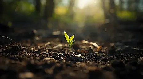 Why Do Relationships Sometimes Feel So Hard? How Therapy Can Help Heal Early Relationship Wounds