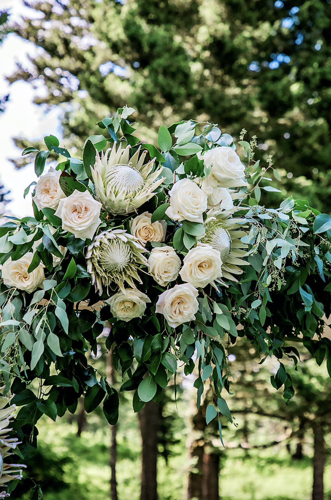wedding-ceremony-woodlands-at-cottonwood-canyon-Notarius-Photography3.png