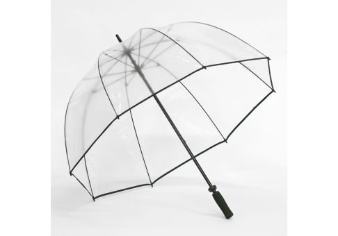 clear_umbrellas.jpeg