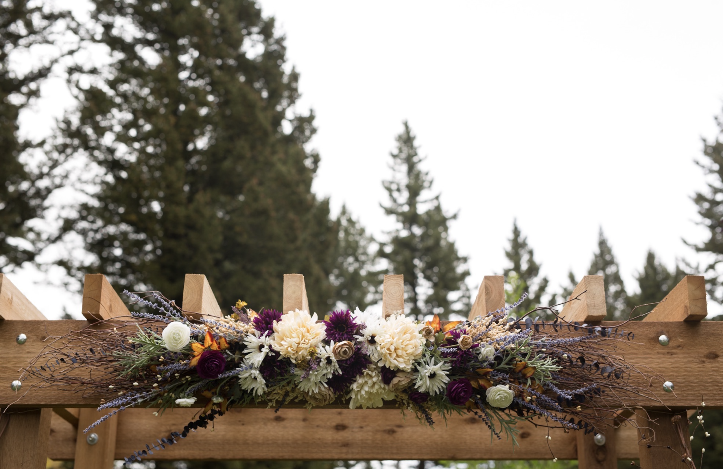 Woodlands-wedding-venue-montana-lockie.png