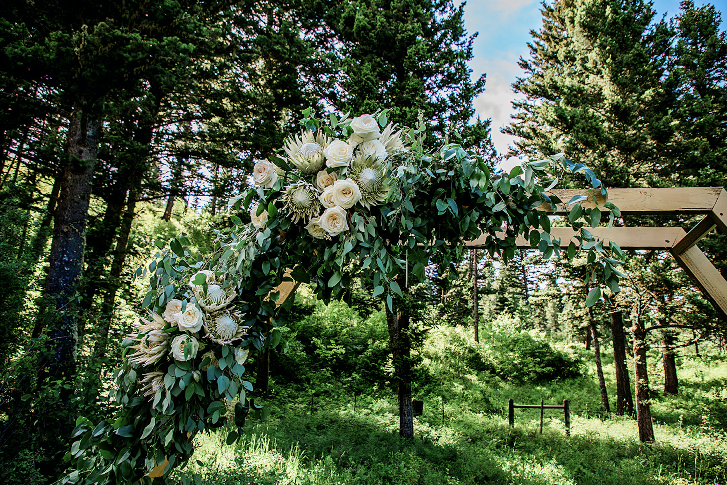 wedding-ceremony-woodlands-at-cottonwood-canyon-Notarius-Photography2.png