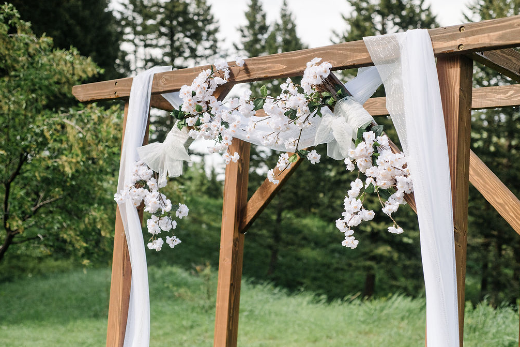 White-flowers-arch-woodlands.png