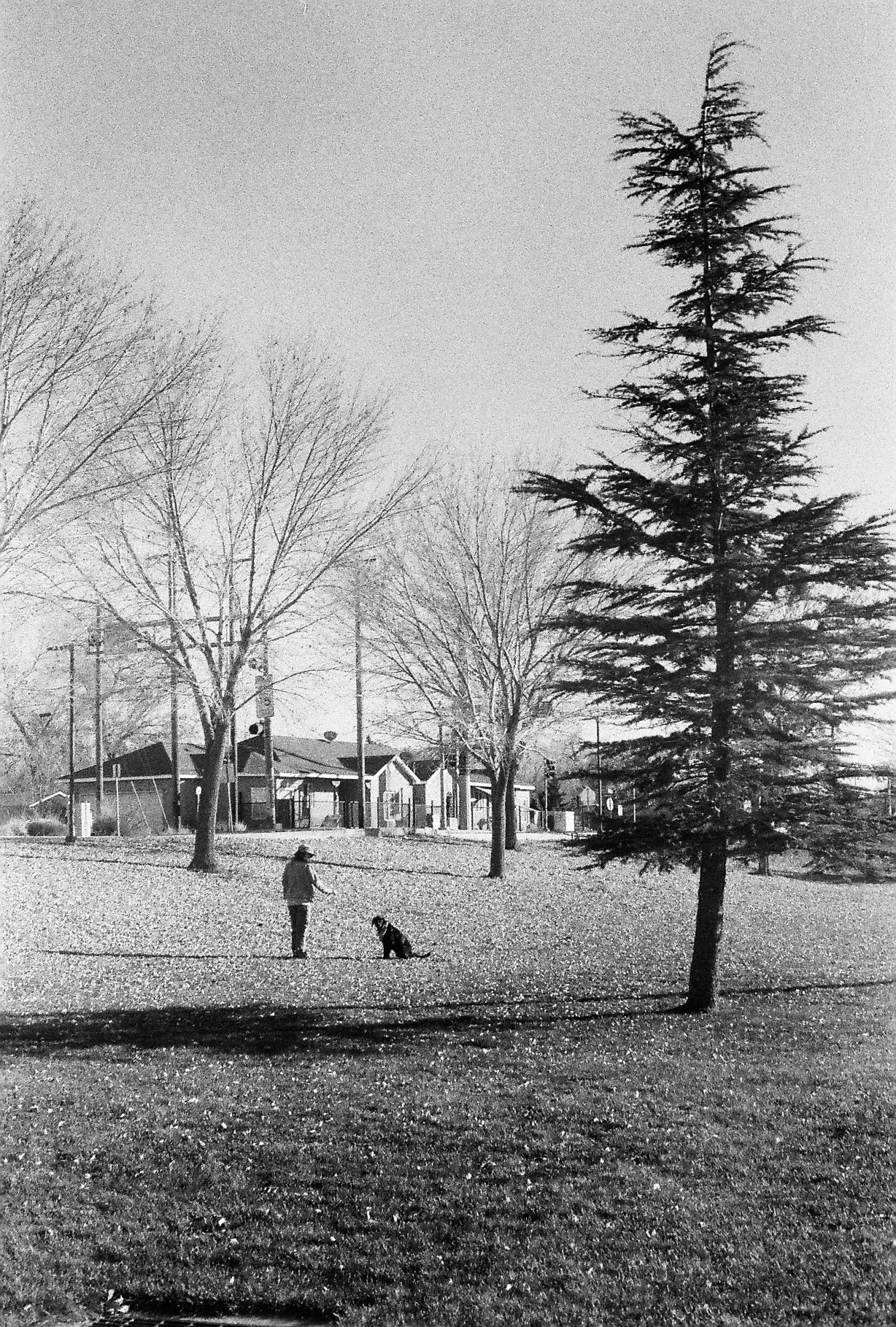 R1-00262-0022.JPG