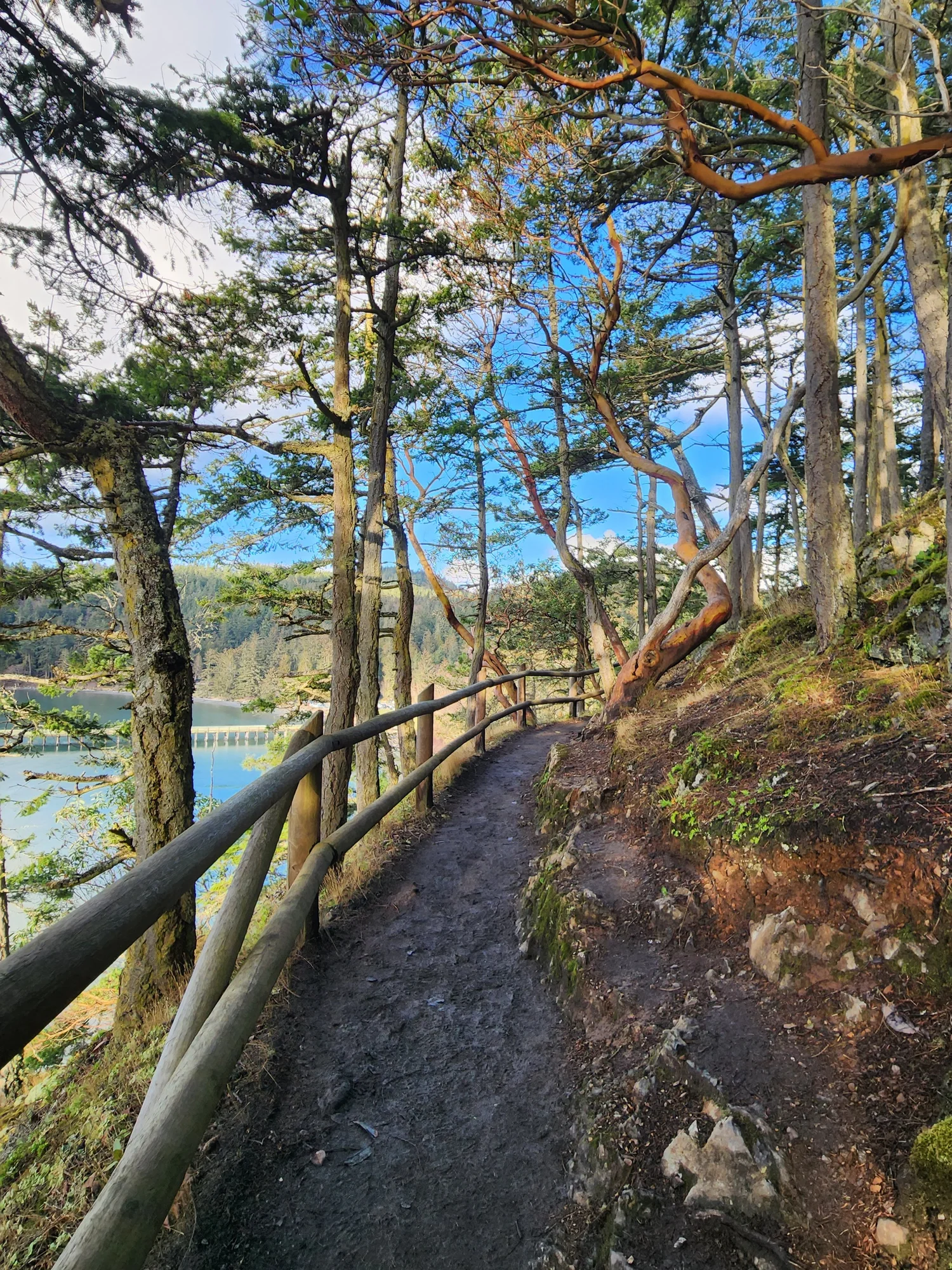 What to Expect During Your First Therapy Session-Evolving Journey Therapy