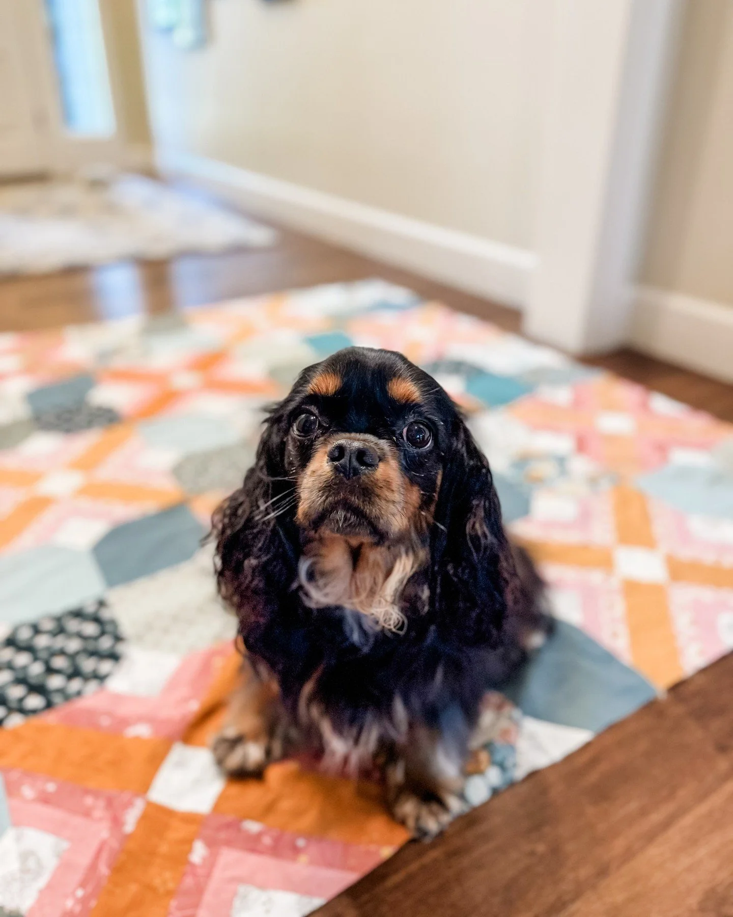 Most of my quilting happens in the middle of real life.

School.
Practices.
Laundry.
Emails.
Dinner.
Deadlines.
Pets underfoot.

And honestly, I think that&rsquo;s why quilting matters so much to me.

It creates little pockets of beauty inside very f