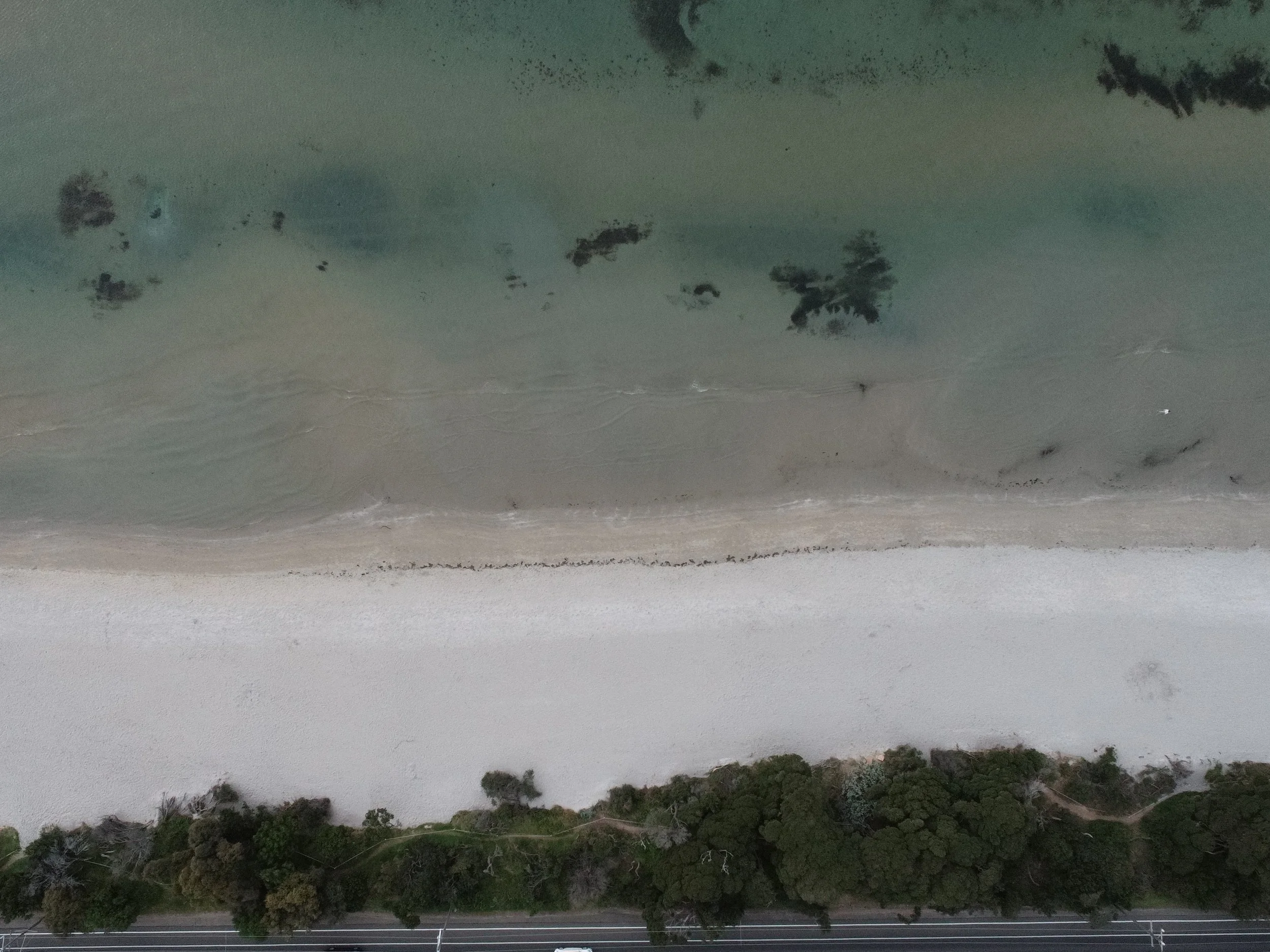 DJI_0361.JPG